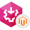 Magento SSIS Components