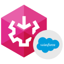 Salesforce SSIS Components